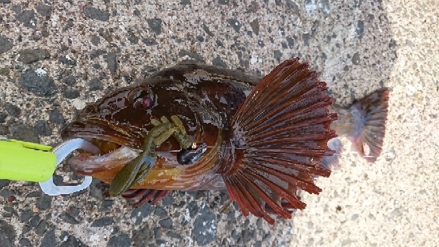 20200308200729612.jpg