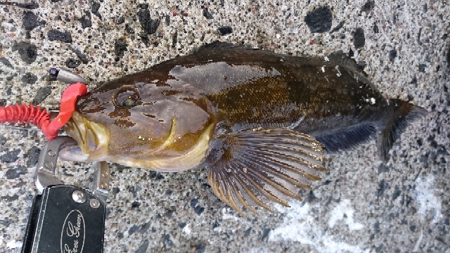 20200308201554091.jpg