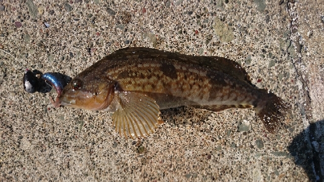 20200608191408993.jpg