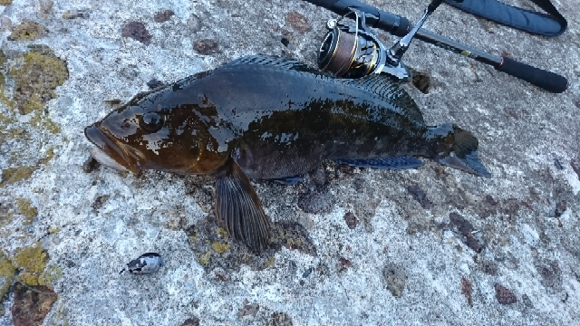 20200808144950217.jpg