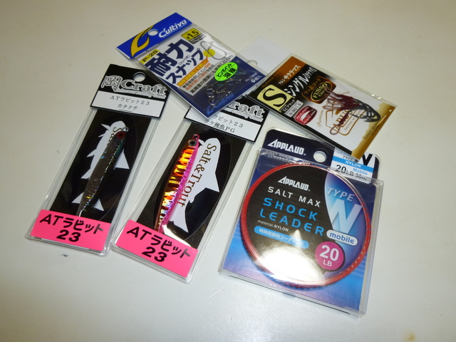 P1010403.JPG